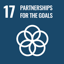 UN SDG number 17 Partnerships for the goals logo