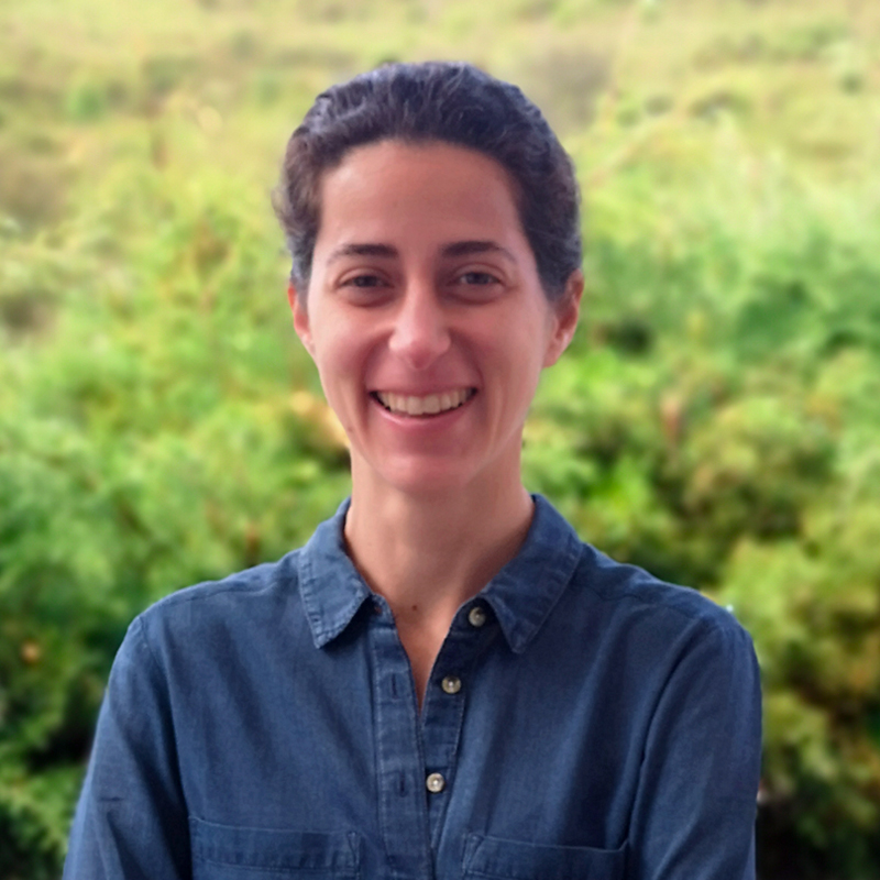 Director of operations Joana Cal